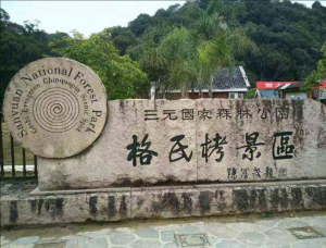 三明格氏栲省級(jí)自然保護(hù)區(qū)