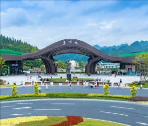 萬(wàn)峰林景區(qū) 萬(wàn)峰林景區(qū)