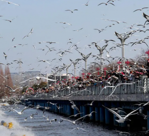 海埂大壩 海埂大壩