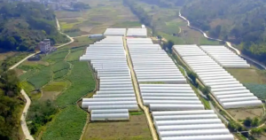 浦北縣三合鎮(zhèn) 浦北縣三合鎮(zhèn)