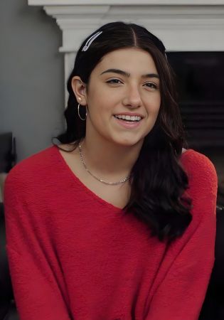 查莉·達(dá)梅利奧 查莉·達(dá)梅利奧