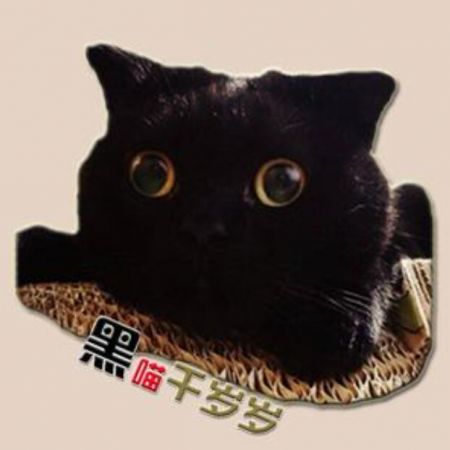 黑喵千歲歲 黑喵千歲歲